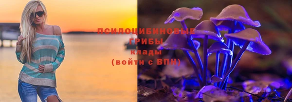 бутират Гусь-Хрустальный