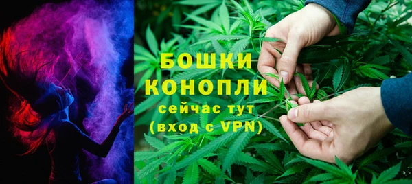 альфа пвп Гусиноозёрск
