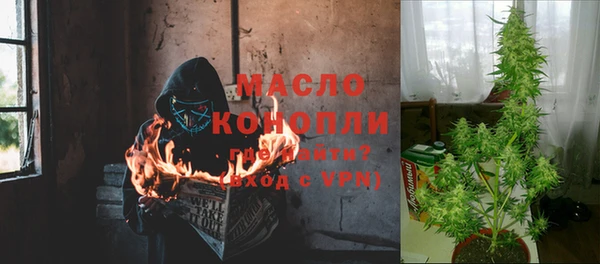 ешки Гусев