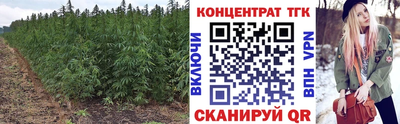 Купить где  Шелехов  ТГК вейп с тгк 