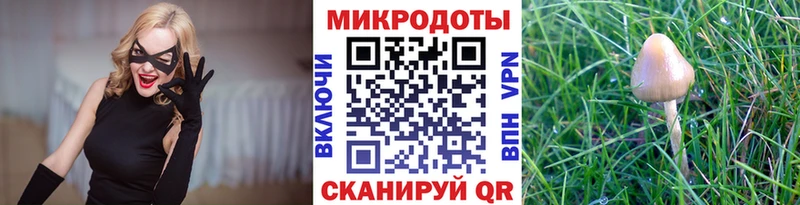 Купить закладки  Шелехов  Галлюциногенные грибы Magic Shrooms 